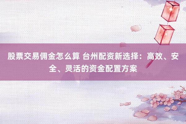 股票交易佣金怎么算 台州配资新选择：高效、安全、灵活的资金配置方案