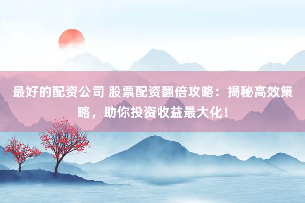 最好的配资公司 股票配资翻倍攻略：揭秘高效策略，助你投资收益最大化！