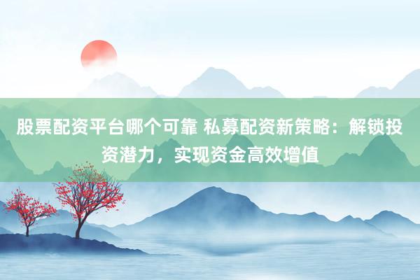 股票配资平台哪个可靠 私募配资新策略：解锁投资潜力，实现资金高效增值