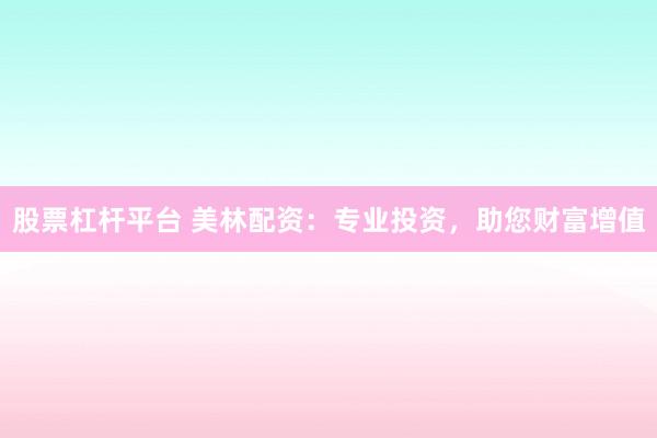 股票杠杆平台 美林配资：专业投资，助您财富增值