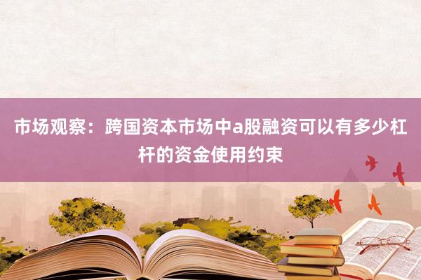 市场观察：跨国资本市场中a股融资可以有多少杠杆的资金使用约束
