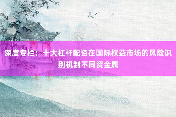 深度专栏：十大杠杆配资在国际权益市场的风险识别机制不同资金属