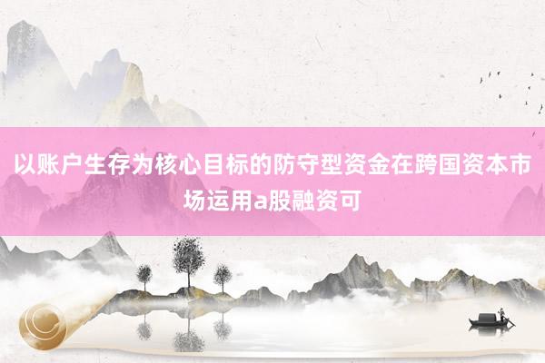 以账户生存为核心目标的防守型资金在跨国资本市场运用a股融资可