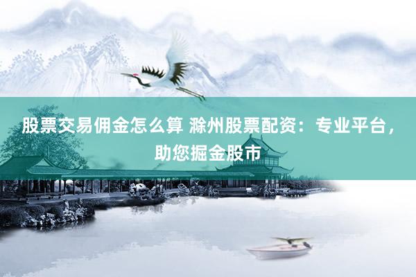 股票交易佣金怎么算 滁州股票配资：专业平台，助您掘金股市